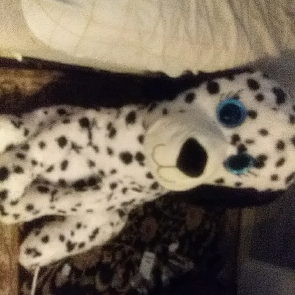 Stuffed animal (dog)
